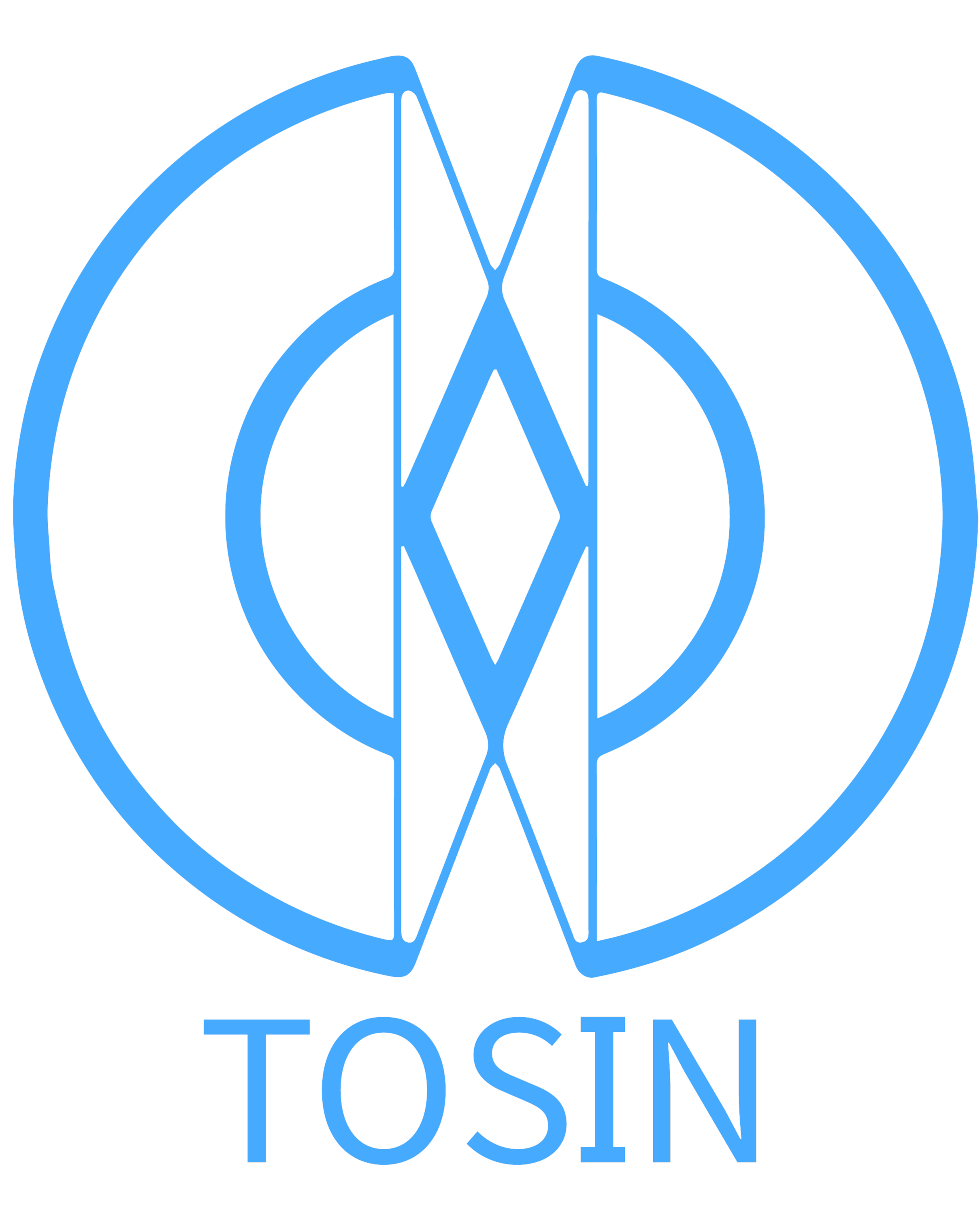 Tosin Logo